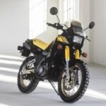 Adu kuat Yamaha TDR250 Atau Kawasaki Versys-X 250
