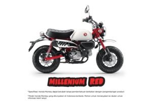 Honda Monkey 124cc