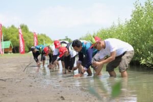 AHM Hijaukan Pesisir Karawang, Tanam 12.000 Pohon Mangrove Bareng Warga
