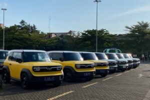 Skema Kredit Mobil Listrik VinFast VF3: Cicilan Mulai Rp 4 Jutaan, Bikin Makin Terjangkau!