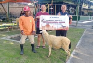 Astra Motor Yogyakarta menyalurkan hewan kurban Iduladha 1447H ke wilayah Sleman dan Bantul sebagai bentuk kepedulian sosial dan komitmen berbagi kepada masyarakat sekitar.